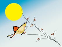 Moon Night And Butterfly Royalty Free Stock Images