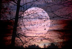 Moon Set, Sun Rise stock images Moon Set, Sun Rise stock images