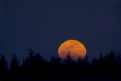 Moonrise Stock Photo Moonrise Stock Photo