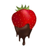 Morango com gota de chocolate no fundo branco isolado ilustração do vetor Morango com gota de chocolate no fundo branco isolado ilustração do vetor