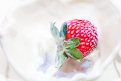Morango que cai em uma bacia de leite com espirro do leite foto de stock Morango que cai em uma bacia de leite com espirro do leite foto de stock