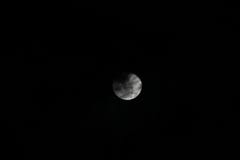 More of the moon stock photo More of the moon stock photo