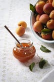 Morelowy dżem z świeżymi morelami w tle fotografia stock Morelowy dżem z świeżymi morelami w tle fotografia stock