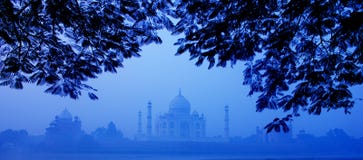 Morgen Taj Mahal stockfoto Morgen Taj Mahal stockfoto