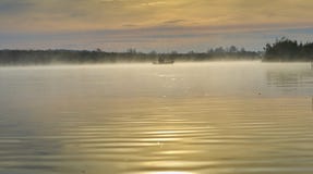 Morgennebel über dem Fluss stockbilder Morgennebel über dem Fluss stockbilder
