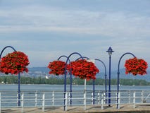 Morges, Швейцария Вазы красных цветков в городе на Ge озера стоковое фото rf Morges, Швейцария Вазы красных цветков в городе на Ge озера стоковое фото rf