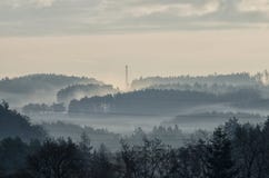 Morgonmist i träna royaltyfri bild Morgonmist i träna royaltyfri bild