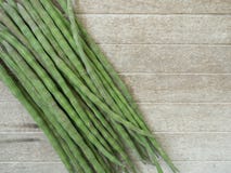 Moringa stock foto's Moringa stock foto's
