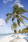 Morning Beach Royalty Free Stock Image Morning Beach Royalty Free Stock Image