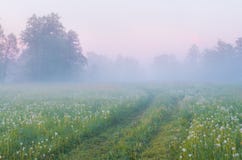 Morning Fog Royalty Free Stock Photography Morning Fog Royalty Free Stock Photography