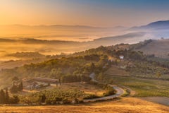Morning Fog over Tuscan Countryside