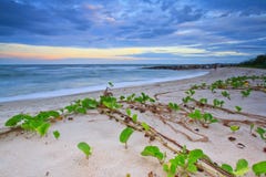 Morning Glory Beach In Cha-am Stock Photography Morning Glory Beach In Cha-am Stock Photography