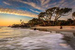 Morning light and waves at Driftwood Beach, on the Atlantic Ocean at Jekyll Island, Georgia. royalty free stock images Morning light and waves at Driftwood Beach, on the Atlantic Ocean at Jekyll Island, Georgia. royalty free stock images