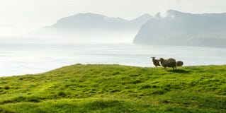 Morning View On The Summer Faroe Islands Royalty Free Stock Image