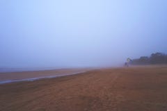 Morning white fog on the coast of the Gulf of Finland, Russia stock image Morning white fog on the coast of the Gulf of Finland, Russia stock image