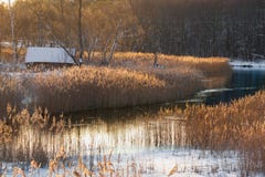 Morning Winter Rural Landscape: An Old Snow-Covered Abandoned House On The Bank Of A River Or Lake, Surrounded By A Beautiful Reed