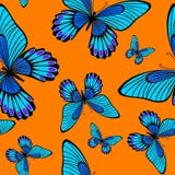 Morpho Butterflies Seamless Surface Pattern Blue Butterfly Repeat Pattern for Textile Design, Fabric Printing, Fashion, Wallpaper vector illustration Morpho Butterflies Seamless Surface Pattern Blue Butterfly Repeat Pattern for Textile Design, Fabric Printing, Fashion, Wallpaper vector illustration