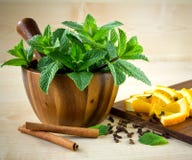 Mortar And Pestle With Mint. Royalty Free Stock Photos