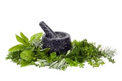 Mortar and Pestle with Fresh Herbs over White royalty free stock photography Mortar and Pestle with Fresh Herbs over White royalty free stock photography
