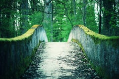 Mos concrete brug door Forrest stock foto Mos concrete brug door Forrest stock foto