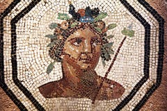 Mosaico de Lyon imagen de archivo Mosaico de Lyon imagen de archivo