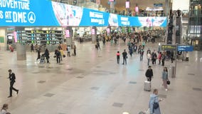 Moscou, Russie - 6 mai 2019 : Les gens à l'aéroport international de Domodedovo Enregistrement des passagers sur le vol banque de vidéos Moscou, Russie - 6 mai 2019 : Les gens à l'aéroport international de Domodedovo Enregistrement des passagers sur le vol banque de vidéos
