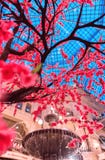 Ornamental Sakura trees near the fountain in GUM in Red Square. Spring. royalty free stock photos Ornamental Sakura trees near the fountain in GUM in Red Square. Spring. royalty free stock photos