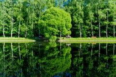 Moscow/Russia - Reflection of green trees on pond, Calm spring view from the pond shore stock images Moscow/Russia - Reflection of green trees on pond, Calm spring view from the pond shore stock images