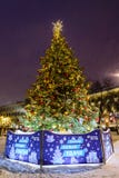 Moskou, 3 Rusland-Januari, 2019: Kerstmis en van het Nieuwjaar grote spar van VTB-Bank in de avond in sneeuwval Ilyinskyvierkant stock foto Moskou, 3 Rusland-Januari, 2019: Kerstmis en van het Nieuwjaar grote spar van VTB-Bank in de avond in sneeuwval Ilyinskyvierkant stock foto