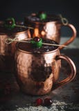 Moskwa muła koktajle garnirujący z cranberries i wapnem zdjęcia stock Moskwa muła koktajle garnirujący z cranberries i wapnem zdjęcia stock
