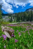 Mosquito Lakes, Sequoia National Park Royalty Free Stock Photos