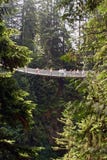 most capilano zawieszenie Zdjęcie Stock most capilano zawieszenie Zdjęcie Stock