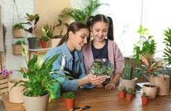 Mother and daughter taking care of plants royalty free stock photos Mother and daughter taking care of plants royalty free stock photos