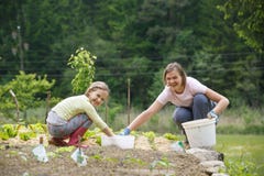 Mother and daughter working in the vegetable garden royalty free stock photo Mother and daughter working in the vegetable garden royalty free stock photo