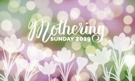 Mothering Sunday 2019 typography on bokeh background with crocus flowers vector illustration. royalty free illustration Mothering Sunday 2019 typography on bokeh background with crocus flowers vector illustration. royalty free illustration