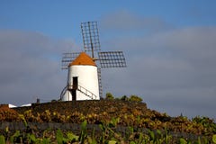Moulins à vent de cactus l'Afrique Espagne et ciel photo libre de droits Moulins à vent de cactus l'Afrique Espagne et ciel photo libre de droits