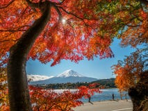 Mount Fuji in Autumn Color, Japan stock photo Mount Fuji in Autumn Color, Japan stock photo