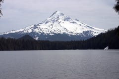 Mount Hood From Lost Lake Royalty Free Stock Images
