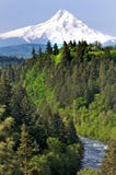 Mount Hood with River in Foreground