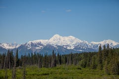 Mount McKinley Royalty Free Stock Photo