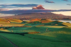 Mount Taranaki under the blue sky with grass field and cows as a foreground in the Egmont National Park. stock photography Mount Taranaki under the blue sky with grass field and cows as a foreground in the Egmont National Park. stock photography