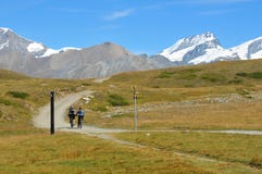 Mountain Biking Royalty Free Stock Images Mountain Biking Royalty Free Stock Images