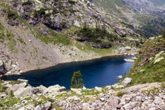 Mountain Lake On Alps Stock Images