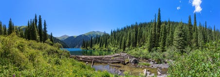 Mountain Lake Panorama Royalty Free Stock Image