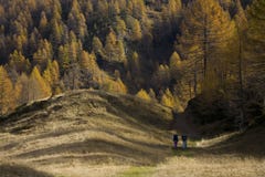 Mountain Landscapes Royalty Free Stock Photography Mountain Landscapes Royalty Free Stock Photography
