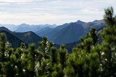 Mountain silhouettes with forest and cloudy sky stock photography Mountain silhouettes with forest and cloudy sky stock photography