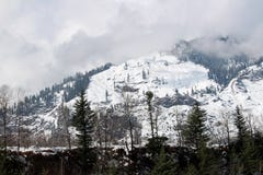 Mountain and tree of Manali Himachal Pradesh Town in India royalty free stock images Mountain and tree of Manali Himachal Pradesh Town in India royalty free stock images