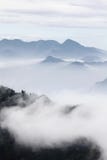 Mountains with trees and fog in monochrome color