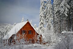 Mountains Winter Pine Tree Forest Landscape With A Chalet Royalty Free Stock Images Mountains Winter Pine Tree Forest Landscape With A Chalet Royalty Free Stock Images