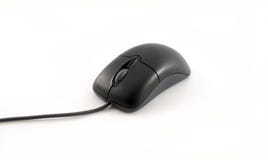 Mouse Royalty Free Stock Image